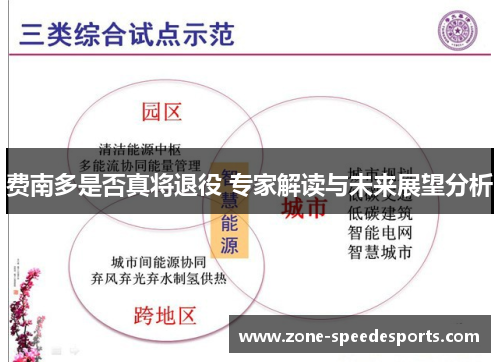 费南多是否真将退役 专家解读与未来展望分析 费南多是否真将退役 专家解读与未来展望分析